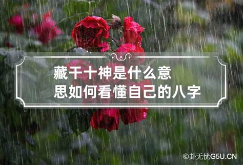 神 煞|如何看懂自己的八字——神煞